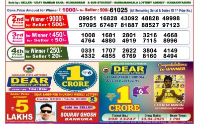 Dear goose Tuesday weekly lottery 22.07.25 8pm result