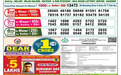 Dear dwarka monday weekly lottery 28.07.25 1pm result