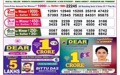Dear seagull Friday weekly lottery 25.07.25 8pm result