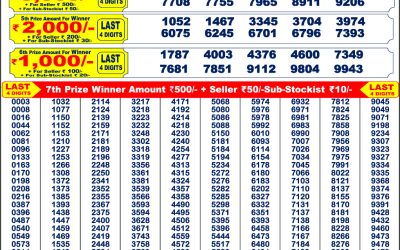 Punjab State 200 Monthly Lottery Result 8PM 2.8.25