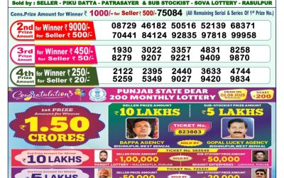 Dear Yamuna Sunday Weekly Lottery 03.08.25 1pm Result