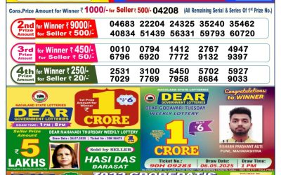 Dear Vixen Sunday Weekly Lottery 03.08.25 6pm Result