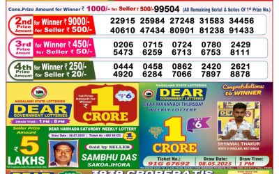 Dear Goose Tuesday Weekly Lottery 05.08.25 8pm Result