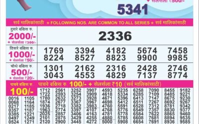 Dear 10 Orange Wednesday Weekly Lottery 06.08.25 1.30pm Result