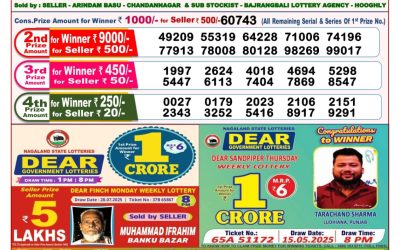 Dear Seagull Friday Weekly Lottery 08.08.25 8pm Result