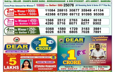 Dear Narmada Saturday Weekly Lottery 09.08.25 1pm Result
