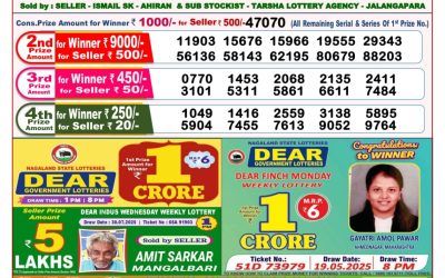 Dear Stork Saturday Weekly Lottery 09.08.25 8pm Result