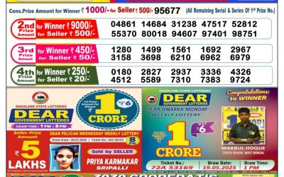 Dear Vixen Sunday Weekly Lottery 10.08.25 6pm Result