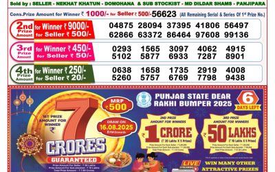 Dear Toucan Sunday Weekly Lottery 10.08.25 8pm Result