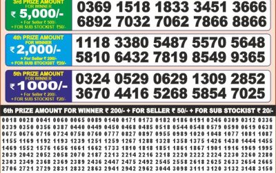 Punjab State Dear 100 Monthly Lottery Result 12.08.25 Today