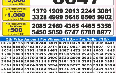 Dear 10 Acacia Sunday Weekly Lottery 17.08.25 7pm Result
