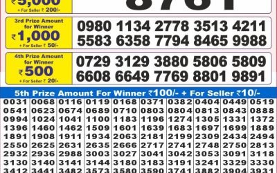 Dear 10 Cedar Wednesday Weekly Lottery 20.08.25 7pm Result