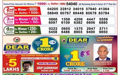 Dear Pelican Wednesday Weekly Lottery 20.08.25 8pm Result