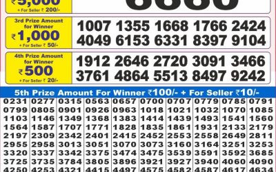 Dear 10 Conifer Friday Weekly Lottery 22.08.25 7pm Result