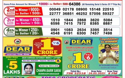 Dear Seagull Friday Weekly Lottery 22.08.25 8pm Result