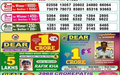 Dear Yamuna Sunday Weekly Lottery 24.08.25 1pm Result