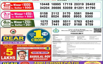 Dear Dwarka Monday Weekly Lottery 25.08.25 1pm Result