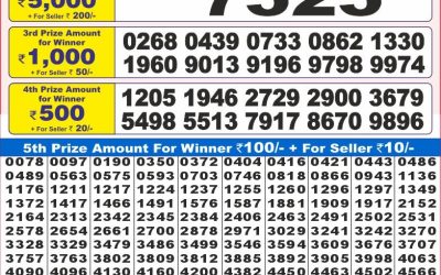 Dear 10 Maple Monday Weekly Lottery 25.08.25 7pm Result