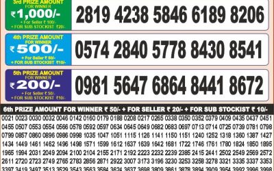 Punjab State Dear 20 Monthly Lottery Result 26.08.25 Today