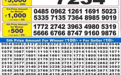 Dear 10 Cedar Wednesday Weekly Lottery 27.08.25 7pm Result