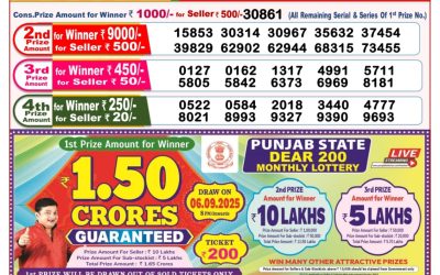 Dear Sandpiper Thursday Weekly Lottery 28.08.25 8pm Result