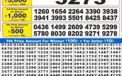 Dear 10 Conifer Friday Weekly Lottery 29.08.25 7pm Result