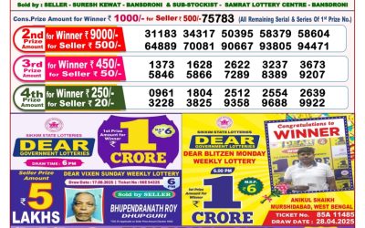 Dear Seagull Friday Weekly Lottery 29.08.25 8pm Result