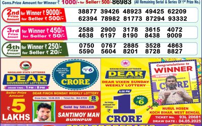 Dear Yamuna Sunday Weekly Lottery 31.08.25 1pm Result