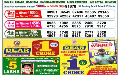 Dear Vixen Sunday Weekly Lottery 31.08.25 6pm Result