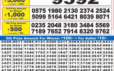 Dear 10 Acacia Sunday Weekly Lottery 31.08.25 7pm Result