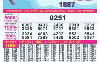 Dear 10 Maple Monday Weekly Lottery 04.08.25 7pm Result