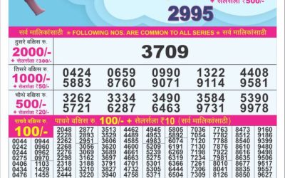 Dear 10 Violet Sunday Weekly Lottery 17.08.25 1.30pm Result