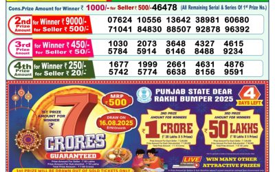 Dear Godavari Tuesday Weekly Lottery 12.08.25 1pm Result