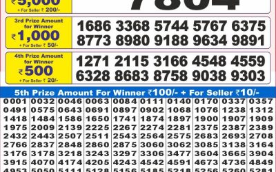 Dear 10 Maple Monday Weekly Lottery 11.08.25 7pm Result