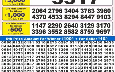 Dear 10 Maple Monday Weekly Lottery 18.08.25 7pm Result