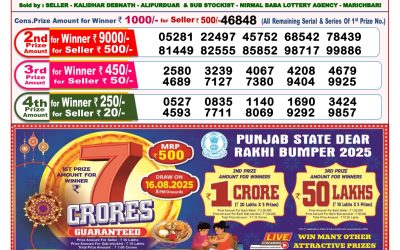 Dear Toucan Sunday Weekly Lottery 03.08.25 8pm Result
