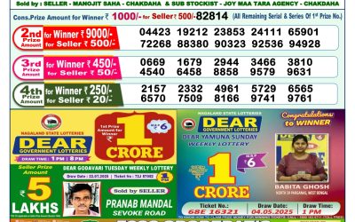Dear Narmada Saturday Weekly Lottery 02.08.25 1pm Result