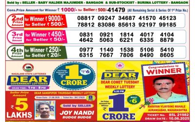 Dear Goose Tuesday Weekly Lottery 02.09.25 8pm Result