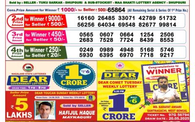 Dear Seagull Friday Weekly Lottery 05.09.25 8pm Result