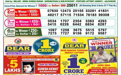 Dear Godavari Tuesday Weekly Lottery 09.09.25 1pm Result