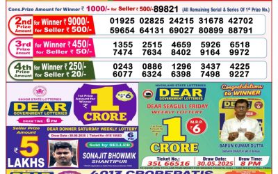 Dear Goose Tuesday Weekly Lottery 09.09.25 8pm Result