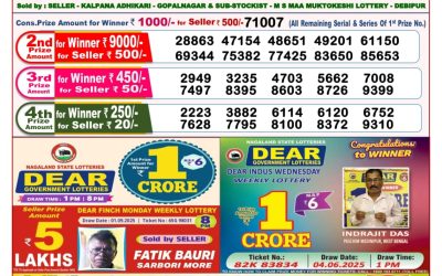 Dear Seagull Friday Weekly Lottery 12.09.25 8pm Result