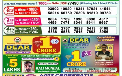 Dear Narmada Saturday Weekly Lottery 13.09.25 1pm Result