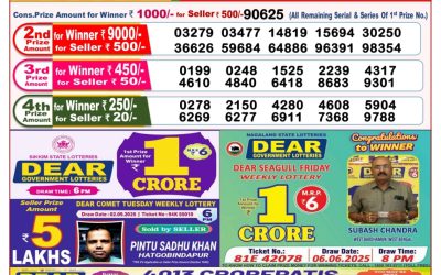 Dear Stork Saturday Weekly Lottery 13.09.25 8pm Result