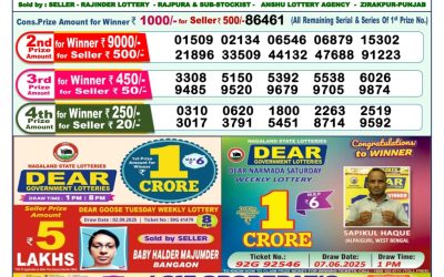 Dear Yamuna Sunday Weekly Lottery 14.09.25 1pm Result