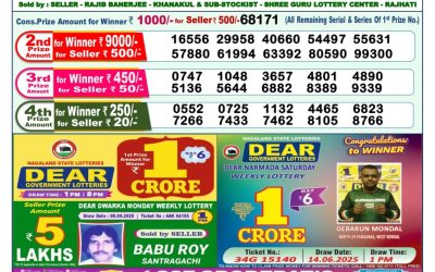 Dear Narmada Saturday Weekly Lottery 20.09.25 1pm Result