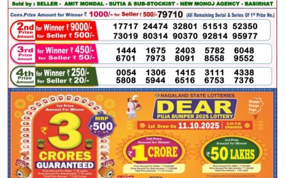 Dear Toucan Sunday Weekly Lottery 21.09.25 8pm Result