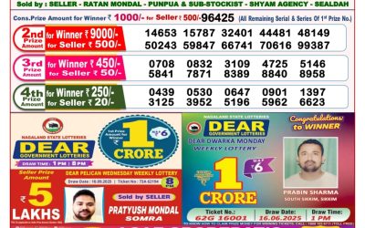 Dear Finch Monday Weekly Lottery 22.09.25 8pm Result