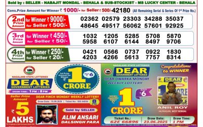 Dear Stork Saturday Weekly Lottery 27.09.25 8pm Result