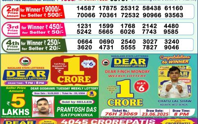 Dear Yamuna Sunday Weekly Lottery 28.09.25 1pm Result
